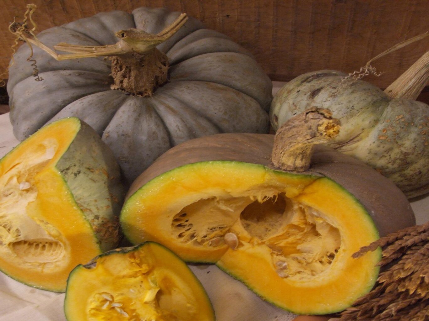 Zucca Santa Bellunese