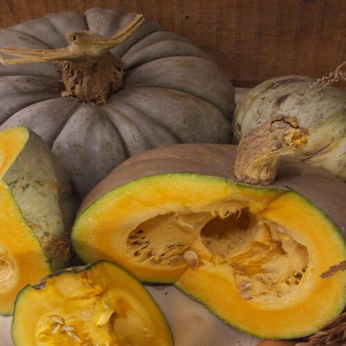 Zucca Santa Bellunese