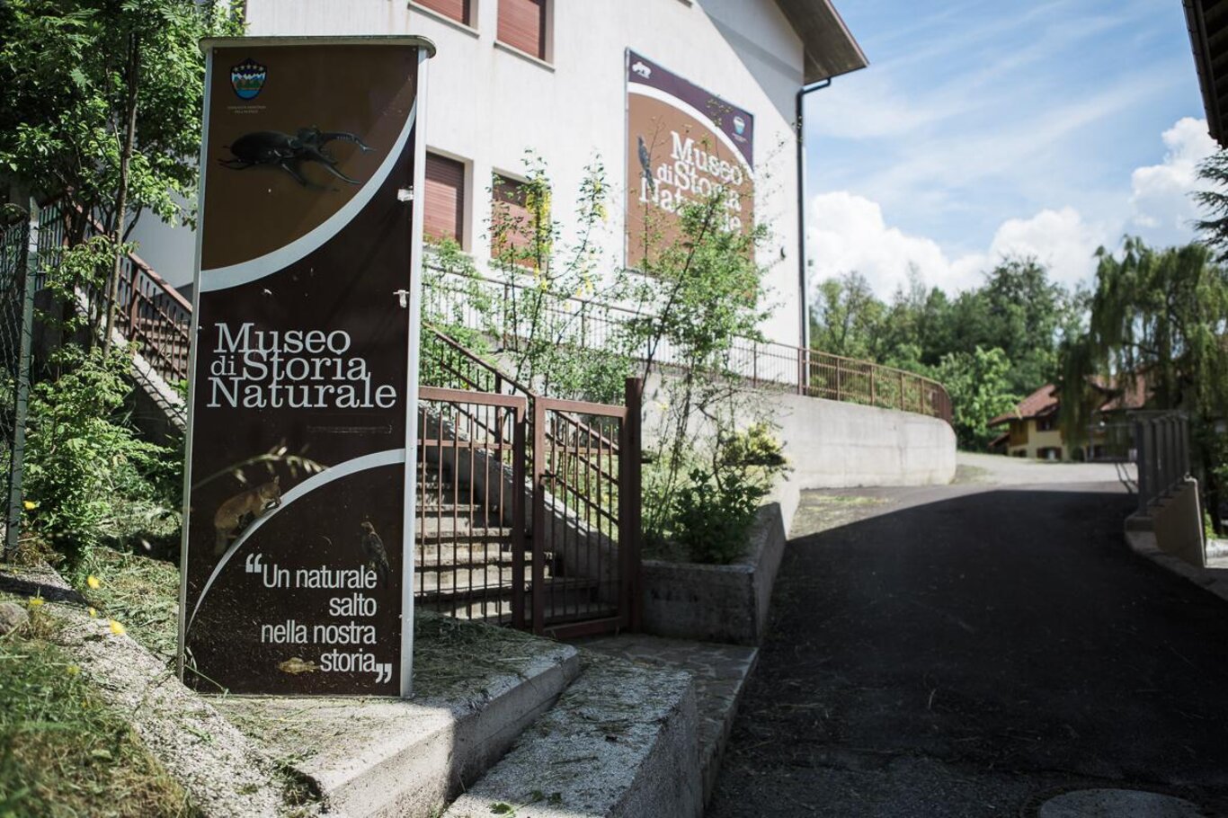 Museo storia naturale